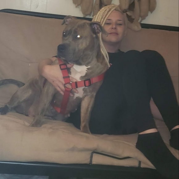 Meet your Posher, Sarah - Picture 2 of 4